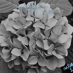 Untitled 7 - 5-19