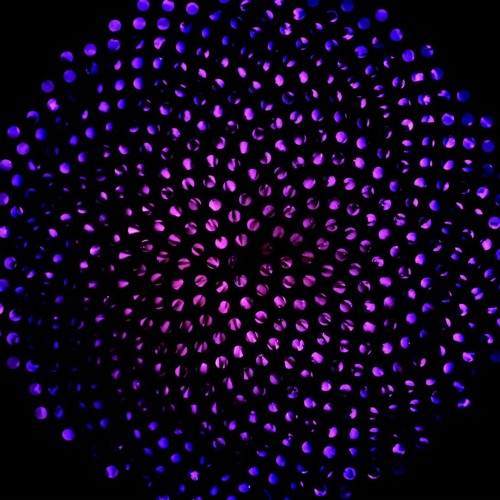 Extended Probability