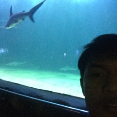 Finneast - Break My Heart Again (cover)