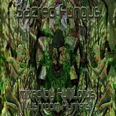 Sacred Fungus mixed by Full Lotus (Mushroom Hunters)