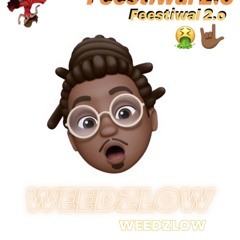 Feestiwal 2.0