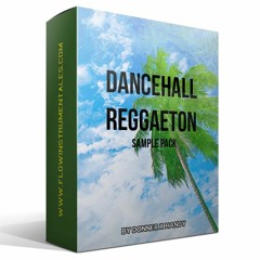 🎧 Reggaeton Dancehall Sample Pack By Donner & Handy (DEMO)