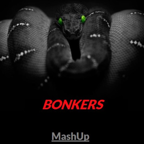 Curbi & Mesto vs Icona Pop vs Bougenvilla - BRUH I Love It Onik (Bonkers MashUp)