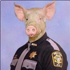 Pig Police
