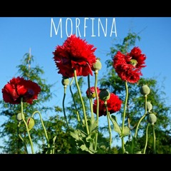 Kiddie Gang x BooM - Morfina