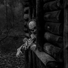 HCT & Wood - Пока живы