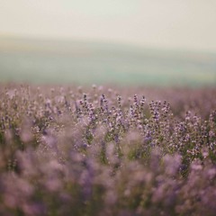 Franck B Minor Chorale