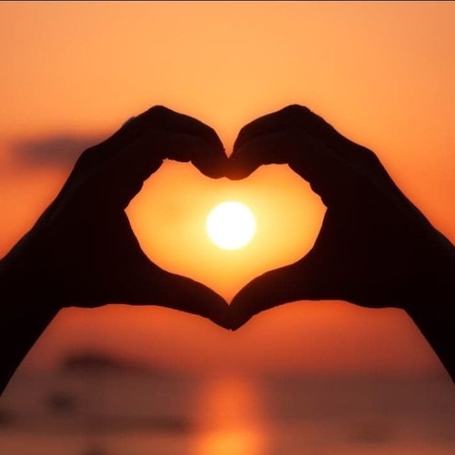 DEEP SUNSET ((MoriNight))
