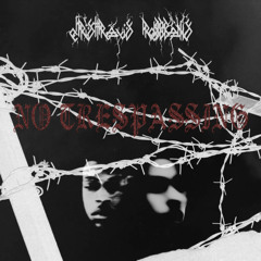 Robb Bank$ x Chris Travis - Cant See