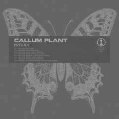 Callum Plant - Prelude (Robert Johnstone Remix)