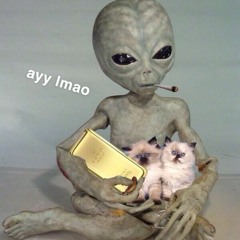 Ayyy lmao 15