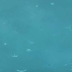 bearface - jasmine rmx