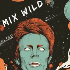 MIX WILD VOL. 1 [ DJ FR3Y ]