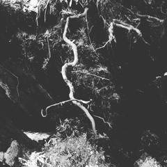 pull up the earth through your feet