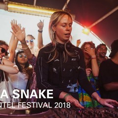Mama Snake   Boiler Room X Dekmantel Festival 2018 - BMCMHpCXwJA