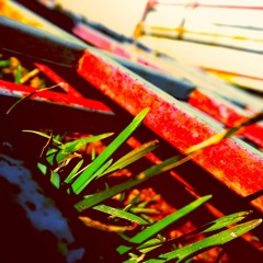 Alex Sima - Son Of A Voyage