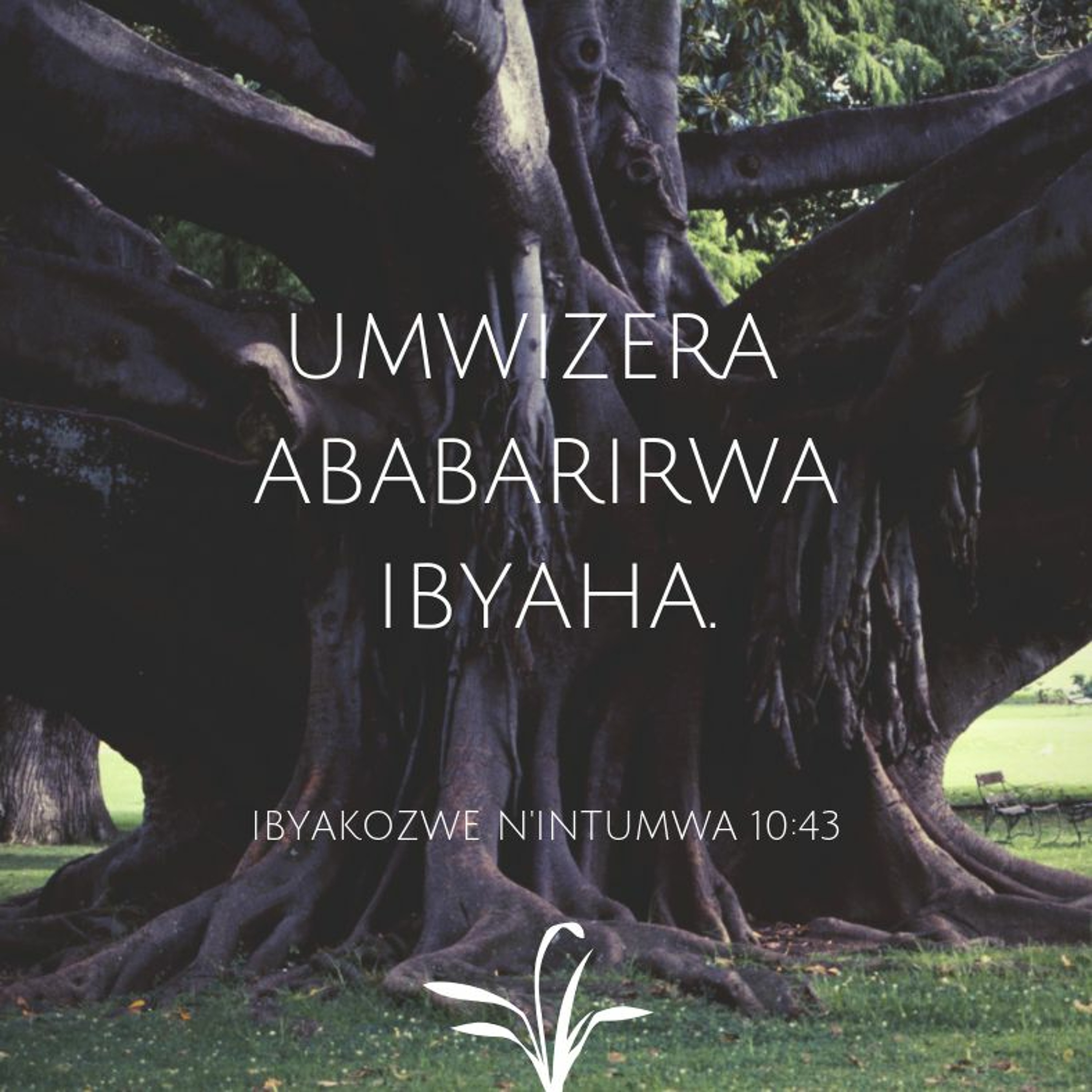 Ijambo ry'Imana mu munota 1 - Kubabarirwa kuva mu Kwizera episode artwork