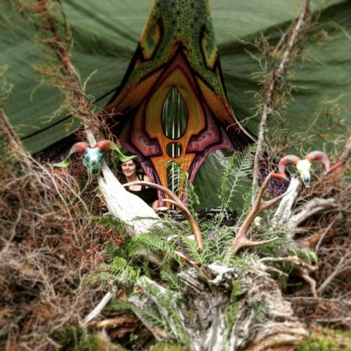 Go into the forest and turn off your thoughts