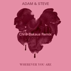 Adam & Steve - Wherever You Are (Chris Bakaus Remix)
