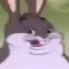 BIG CHUNGUS (Ft. King Kota)