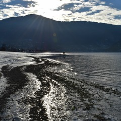 For Love - 2019-07-06, 7.34 PM