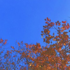 blue to orange