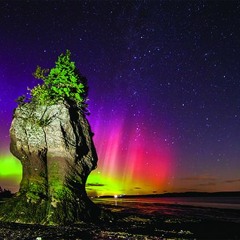 July Night Ft Carmin (Prod. Carmin)