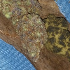 This that other kind