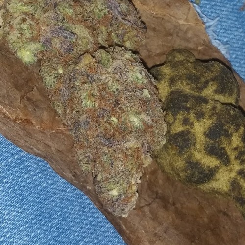 This that other kind