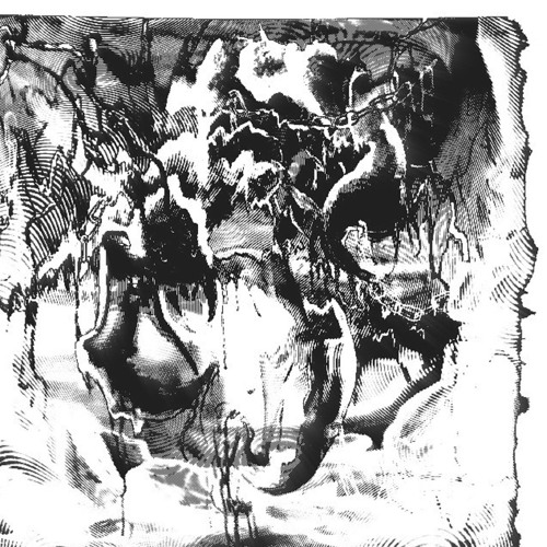 REFLECTION (ENTITY LOGIC)