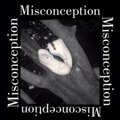 The Misconception of 11:11(prod  by radderzz)