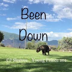 Been Down Ft. CJ Sleeves