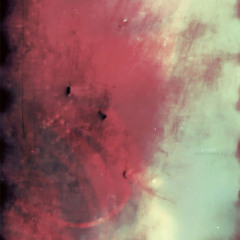 goreshit - 4th dose (float)