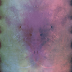 goreshit - 2nd dose (tender)