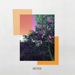 Incipio