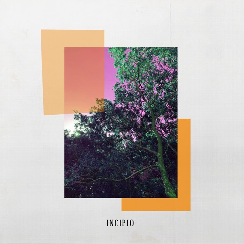 Incipio