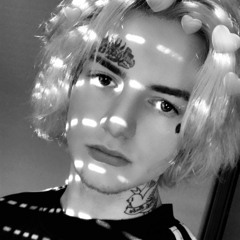 Beastboy - Lilsaetre