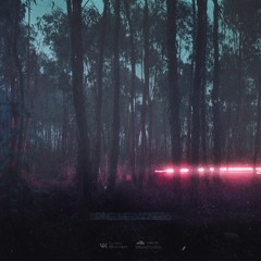 .vᴇɴᴇʀᴀ Feat. Xentum - Bring Me Sadness