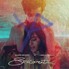 Senorita (YP Remix) - Shawn Mendes & Camila Cabello