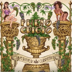 Berner x Curren$y x Mozzy - Pheno Grigio