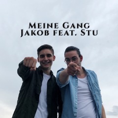 Meine Gang feat. Stu