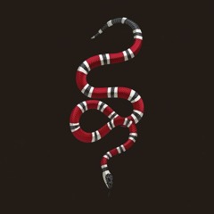 SNAKE | NLE Choppa ✘ Stunna 4 Vegas Type Beat