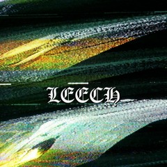 𝓛𝓔𝓔𝓒𝓗 (feat. LEFTHANDLUCK) [prod. ｗａｓ]