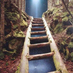 Un llamado chamánico