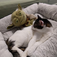 Castlevania Remix Rough 1