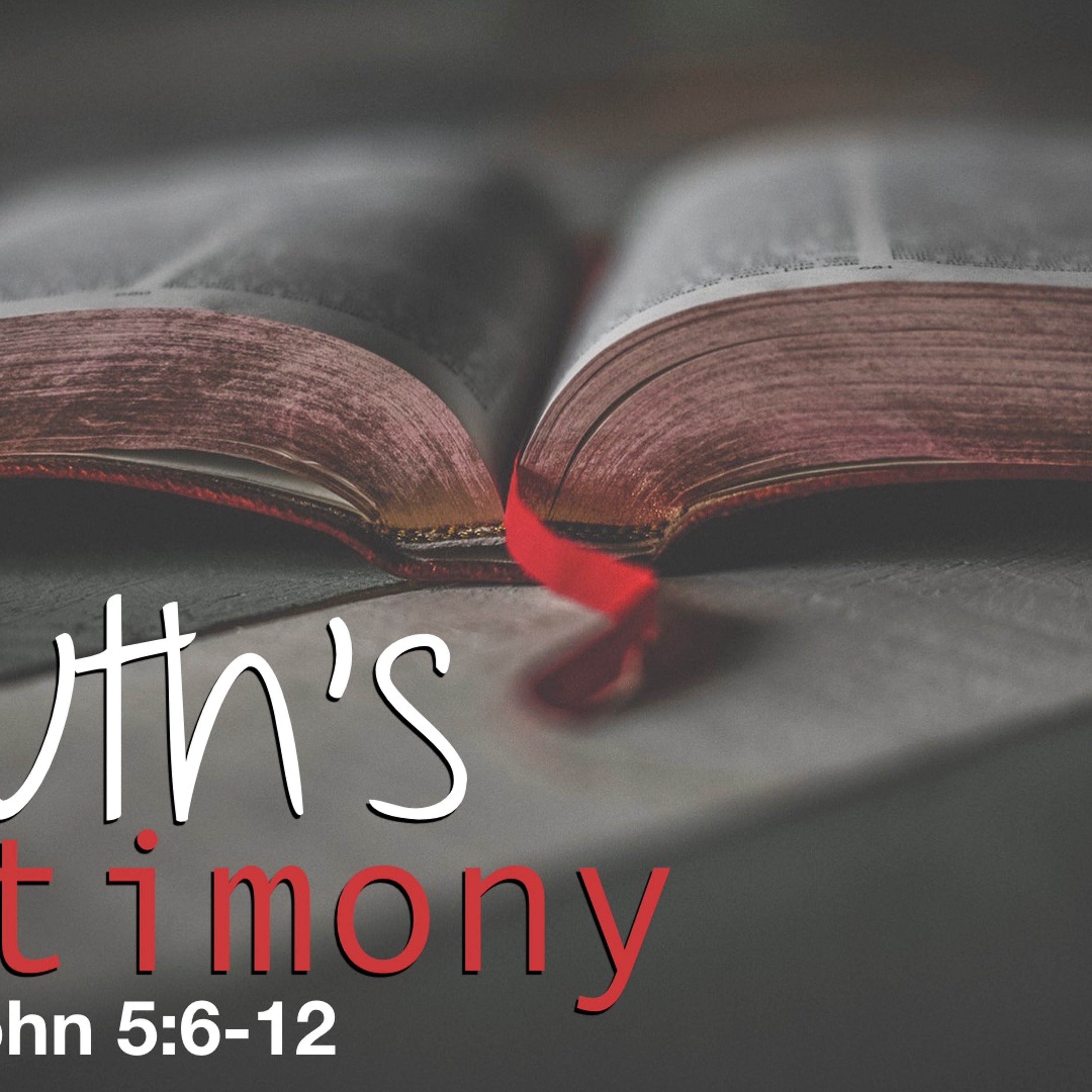 The Truth's Testimony - 1 John 5:6 - 12 - Matthew Niemier episode artwork