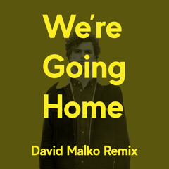 Vance Joy - We're Going Home (David Malko Remix)