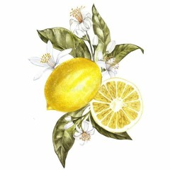 마후마후 - Lemon