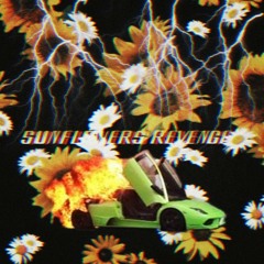 Probably a love song (feat. MANIKIN)