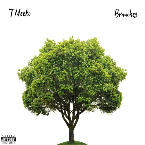 Branches [Prod. Yxshi]